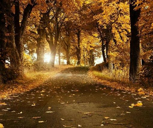 形容自己很痴情的句子 形容自己很痴情的说说