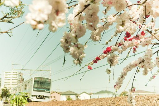 关于爱情伤感的语句短语 关于爱情伤感的说说