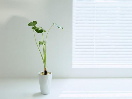 抚慰受伤的心灵的句子 抚慰受伤的说说