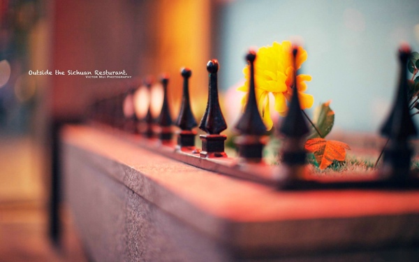 表达内心伤感失落的句子 表达内心伤感失落的说说