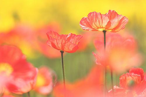 那些让你心碎的句子 那些让你心碎的说说