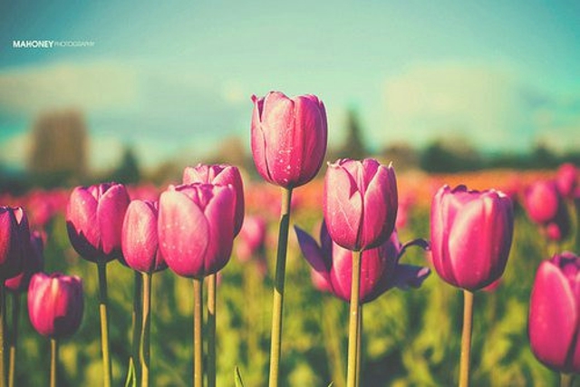 表达失恋伤感的句子 表达失恋伤感的说说