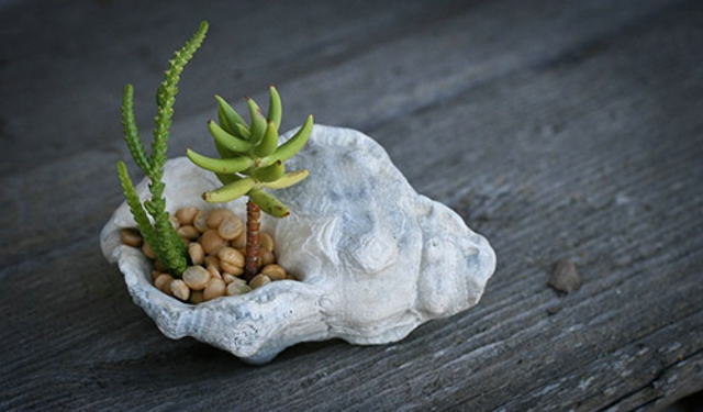 心灵受到创伤的句子 心灵受到创伤的说说