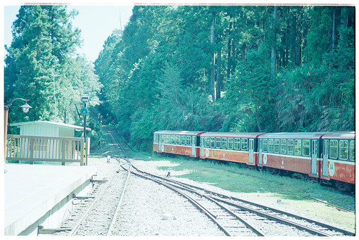 内心纠结伤感的心情句子 内心纠结伤感的说说