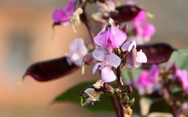 有关心情不好的句子 有关心情不好的说说