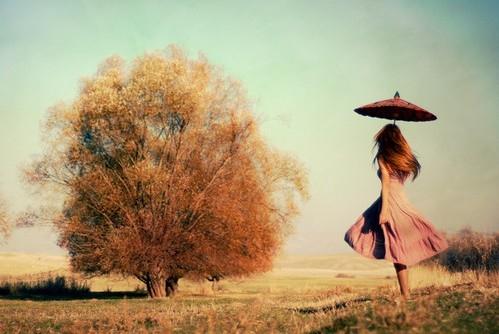 美得让人流泪的句子 美得让人流泪的说说