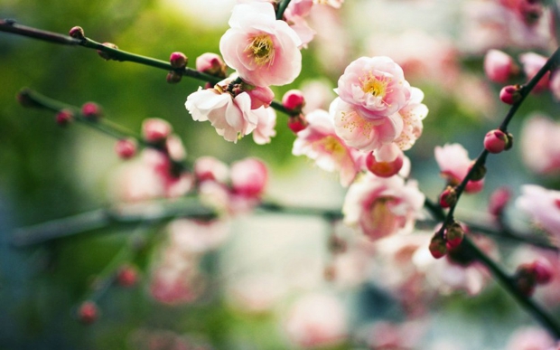 让人心疼伤感的语段摘抄 让人心疼伤感的说说