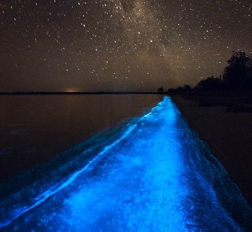 生活好累好压抑的句子 生活好累好压抑的说说