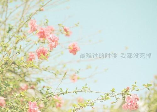 心情压抑伤感的文字 心情压抑伤感的说说