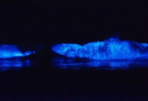 爱的太深太辛苦的句子 爱的说说