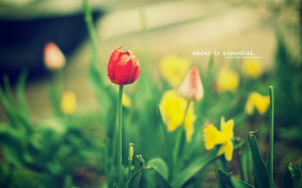 表示心情非常差的句子 表示心情非常差的说说