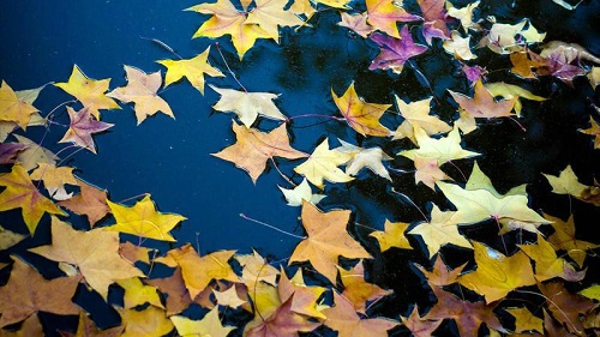 痛到骨子里心碎的句子 痛到骨子里心碎的说说