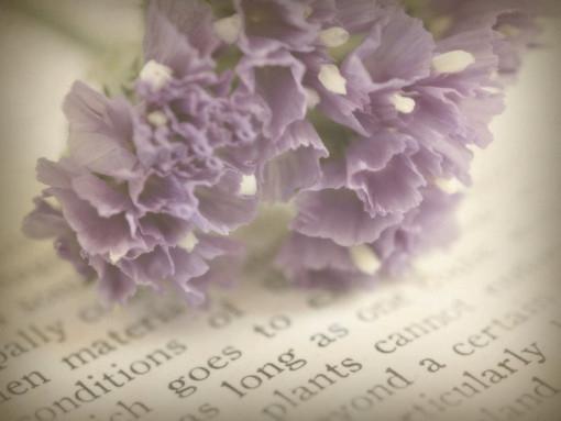 悲伤的让人心疼的句子 悲伤的说说