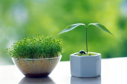 心情不好心累的说说句子 心情不好心累的说说