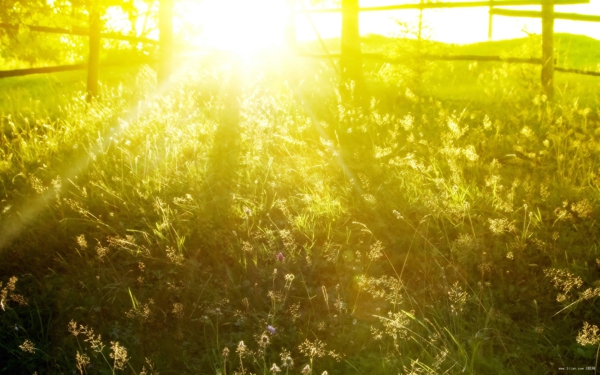一句话简短的心情句子 一句话简短的说说