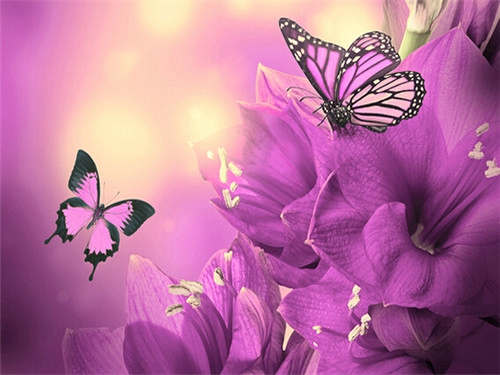 30个让人揪心的句子个性签名 30个让人揪心的说说