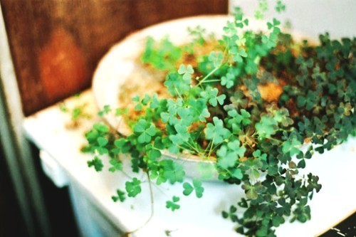 心情很失落的说说短语 心情很失落的说说