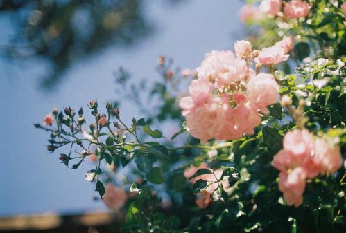 心情不好的伤感唯美句子 心情不好的说说