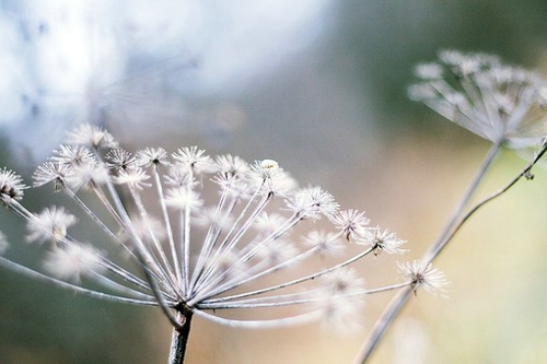 心情不好的简短伤感句子 心情不好的说说