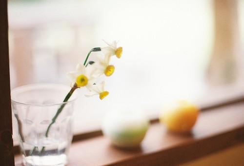 淡淡伤感的爱情句子摘抄 淡淡伤感的说说