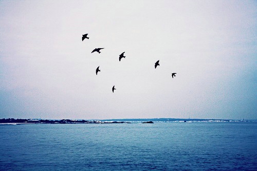 爱情很累想放弃的句子 爱情很累想放弃的说说