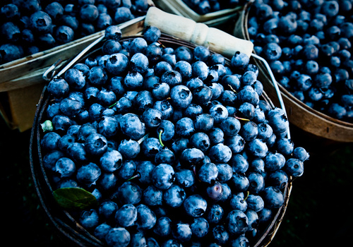 追忆青春过去的句子 追忆青春过去的说说