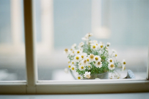 忧郁的句子的个性签名 忧郁的说说