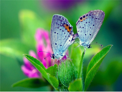 心情不好心累的文字 心情不好心累的说说