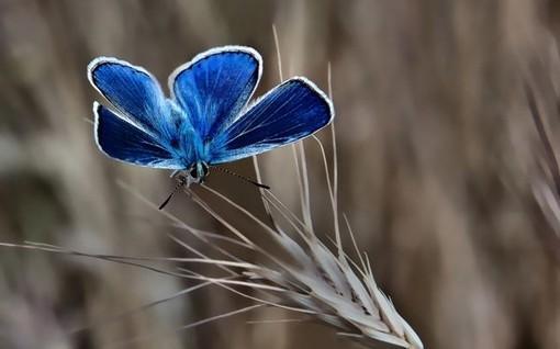 关于不要想太多的句子 关于不要想太多的说说