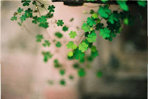 一个人伤心难过的句子 一个人伤心难过的说说