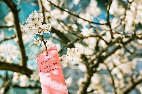 绝望无助的伤感心情句子 绝望无助的说说