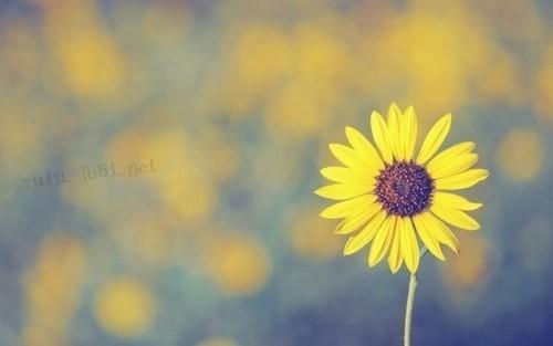 对一段感情伤感绝望的句子 对一段感情伤感绝望的说说