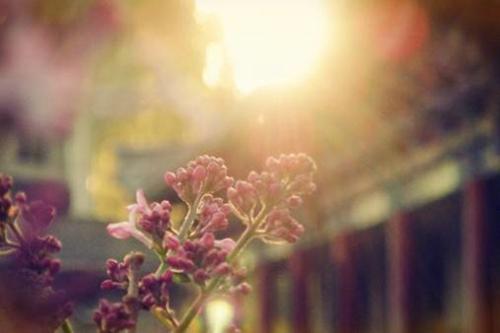 心累伤感孤单的句子 心累伤感孤单的说说