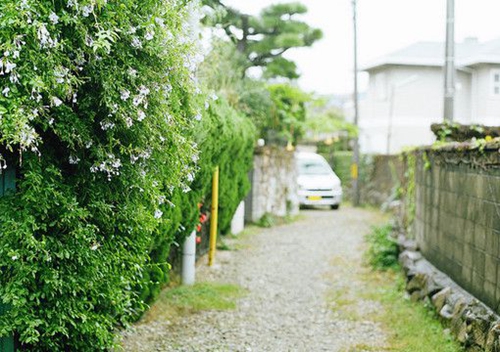 关于婚姻的伤感短句 关于婚姻的说说