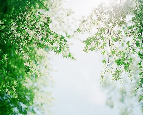 qq说说悲伤难过的心情句子 qq说说悲伤难过的说说