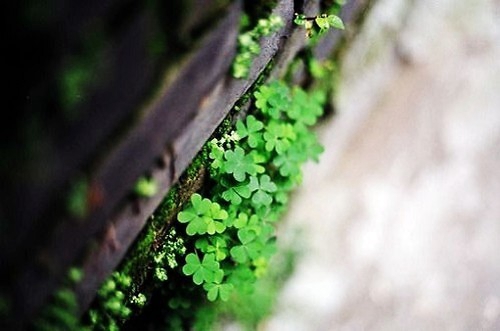 让人心疼的小清新伤感爱情语句 让人心疼的说说