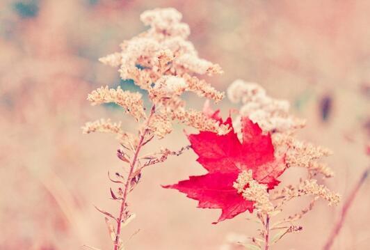 表达内心绝望的句子 表达内心绝望的说说