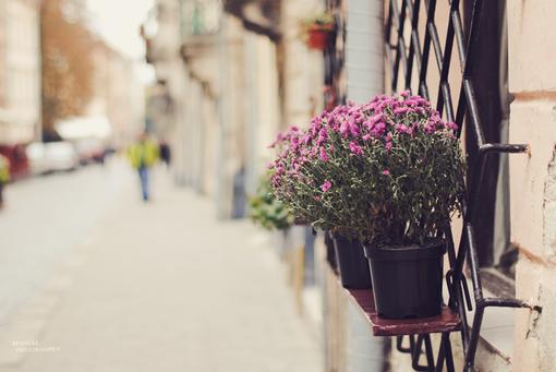 岁月的句子说说心情 岁月的说说