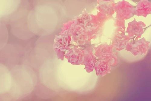 爱情受伤之后的句子 爱情受伤之后的说说