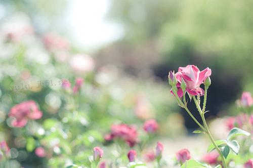 微信里伤感悲伤的说说短句子 微信里伤感悲伤的说说