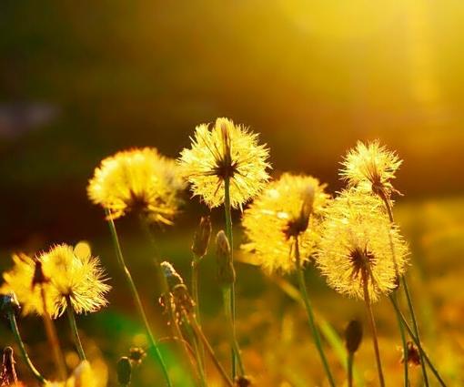 心情不好伤感的爱情句子 心情不好伤感的说说