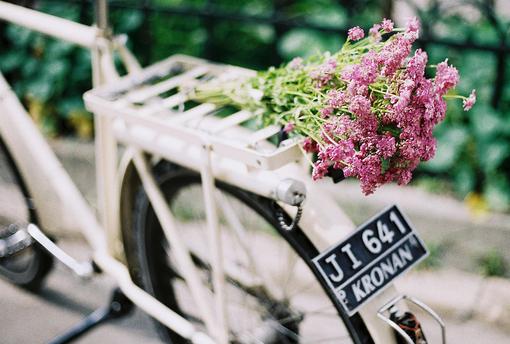 感慨岁月的句子 感慨岁月的说说