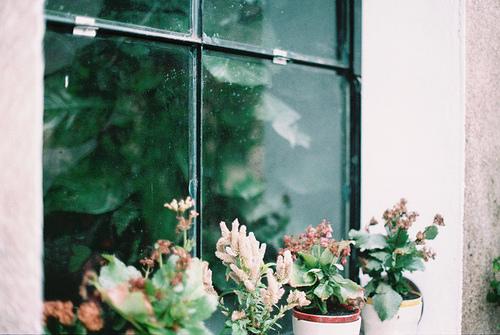 心情不好悲伤的唯美句子 心情不好悲伤的说说