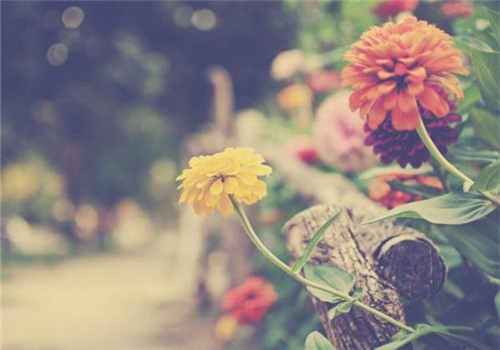 微信朋友圈唯美的伤感爱情句子 微信朋友圈唯美的说说