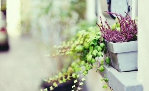 表达婚姻不幸福的句子 表达婚姻不幸福的说说