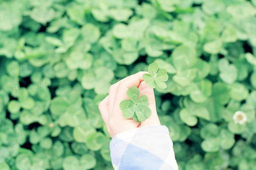 伤感说说心累的句子 伤感说说心累的说说