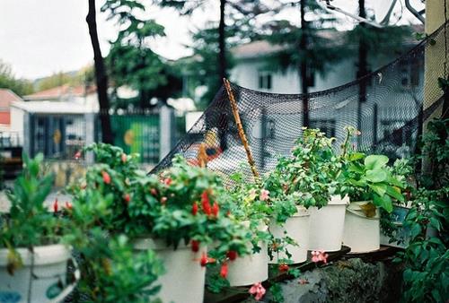 微信伤感悲伤的文字句子 微信伤感悲伤的说说