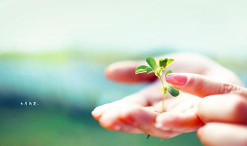 表达心情不好伤感失落的句子 表达心情不好伤感失落的说说