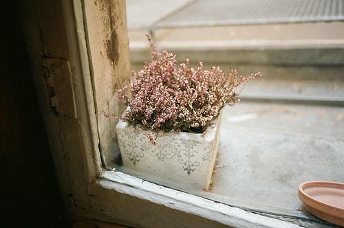 心情不好的短句子 心情不好的说说