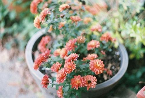 QQ说说伤感的爱情句子 QQ说说伤感的说说